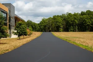 Public School Roadway